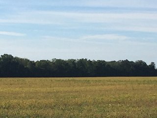 Property photo 1 - FARMLAND AUCTION - 193+/- ACRES IN 3 TRACTS IN CLARK COUNTY